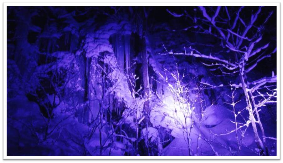 ２０２５年１１月の山行